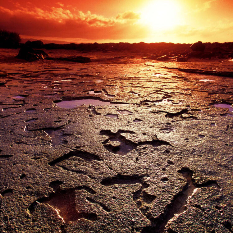 Hawaiian Petroglyphs 2