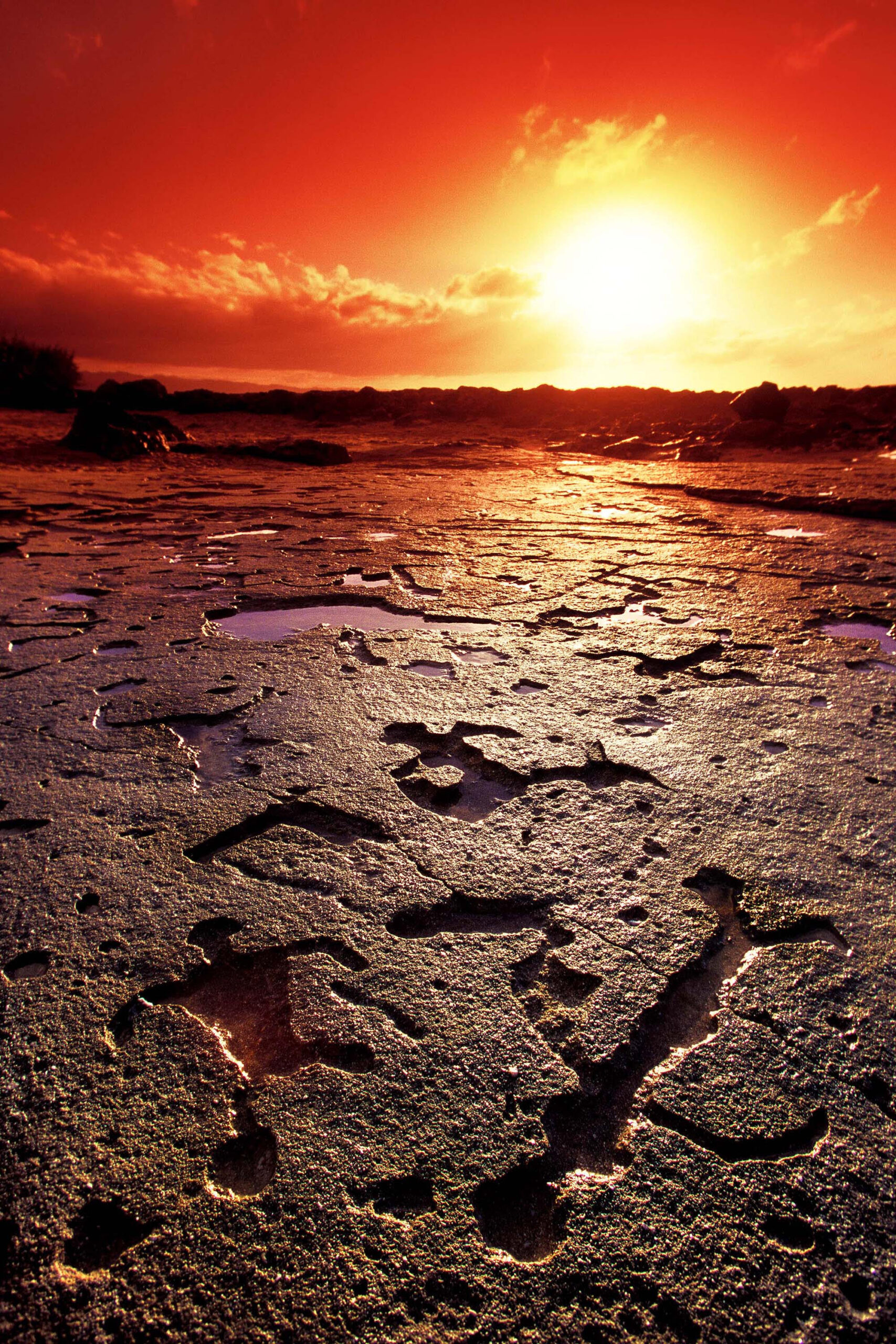 Hawaiian Petroglyphs 2