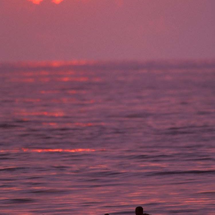 A Surfer Knows the Feeling