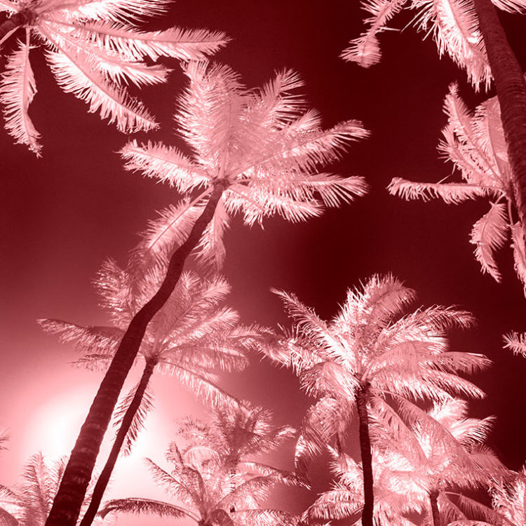 Ala Moana Park Red