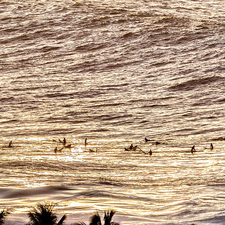 Beyond the Palms