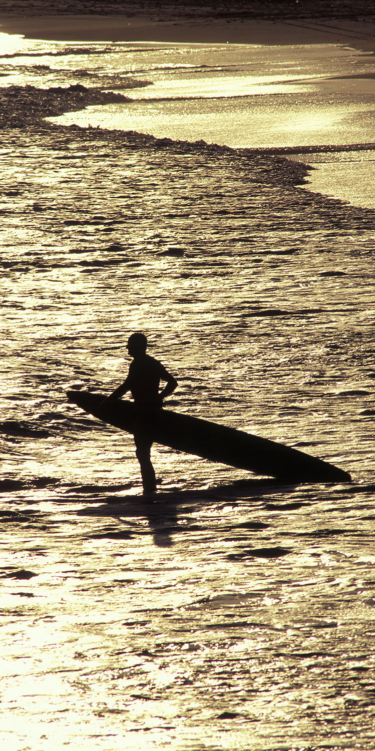 Bondi Lifesaver Sepia