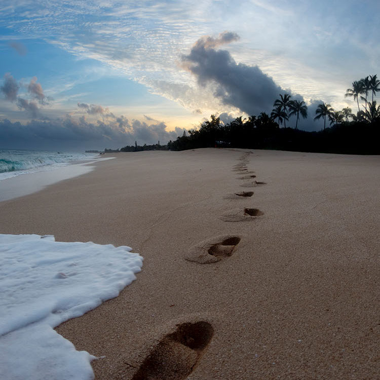 Dawn Footprints