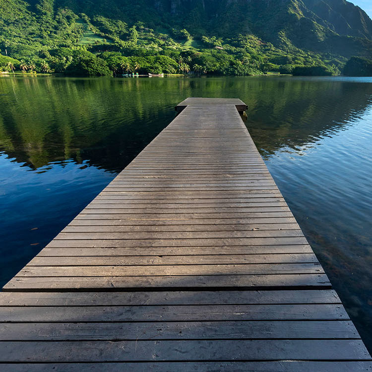 Dock to Paradise