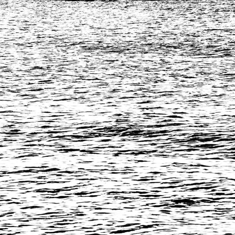 Equinox Paddlers B&W