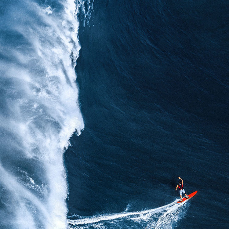 Fernando Avalanche