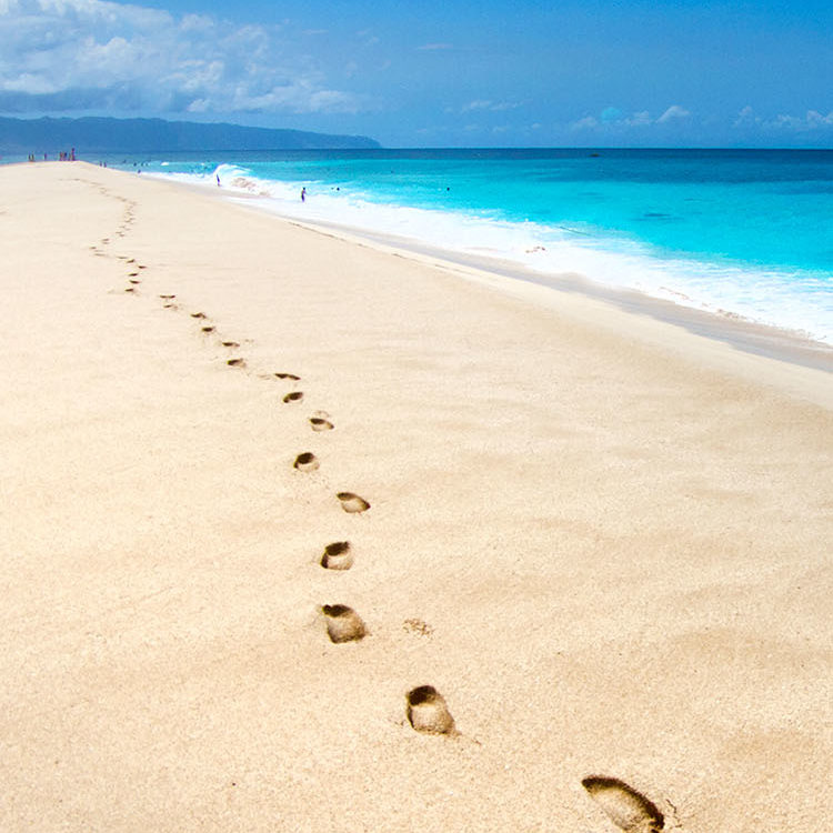 Footsteps of Tranquility
