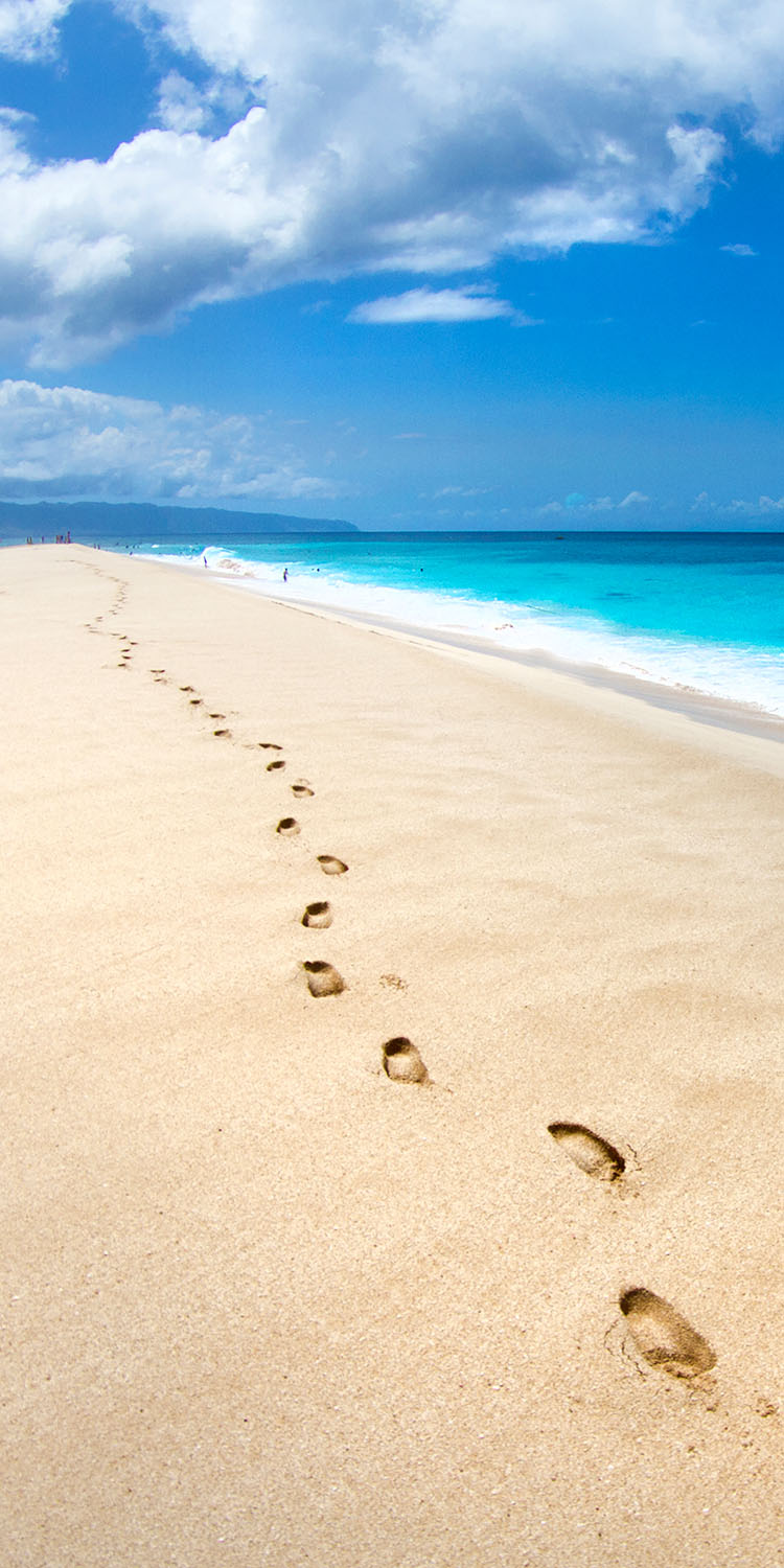 Footsteps of Tranquility
