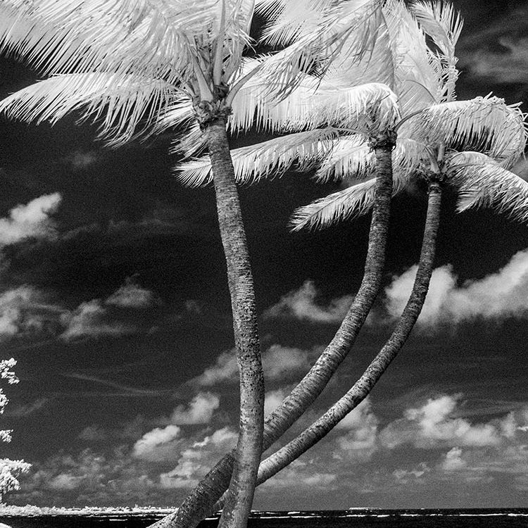 Hauula