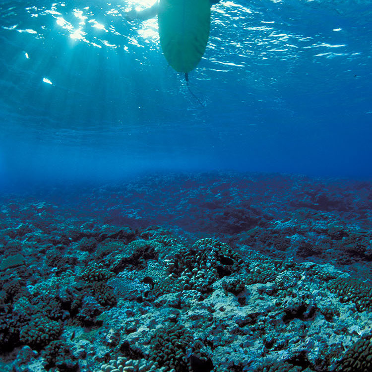 Teahupoo Reef