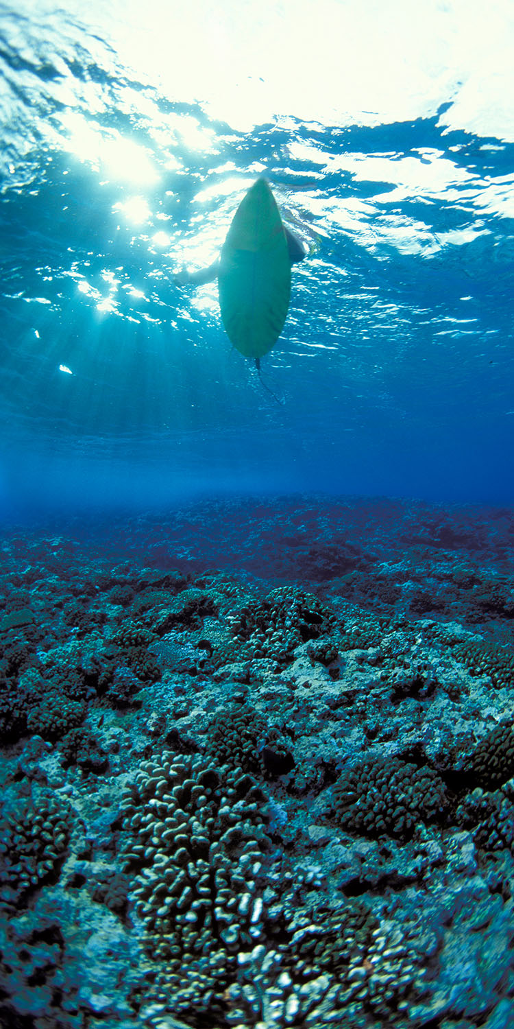 Teahupoo Reef