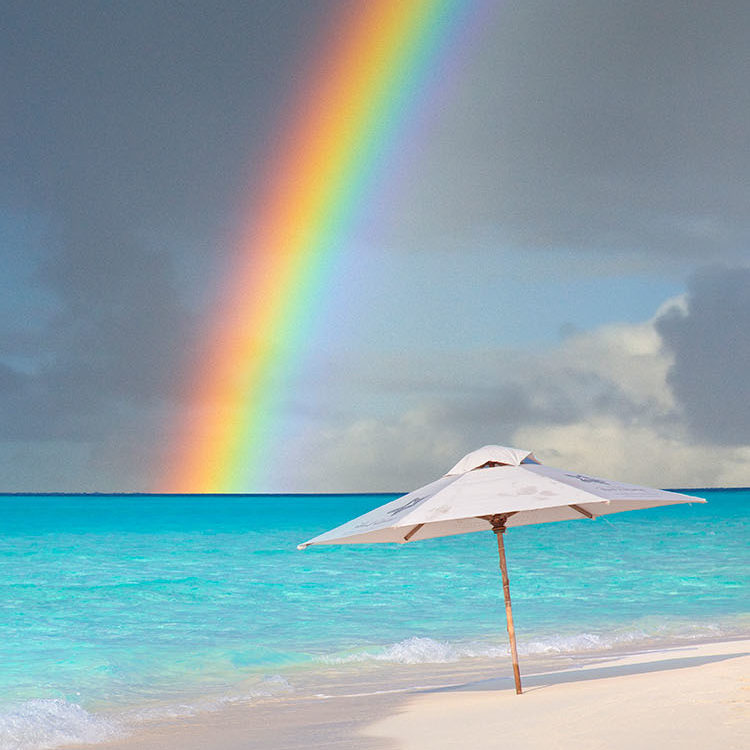 Umbrella Bow