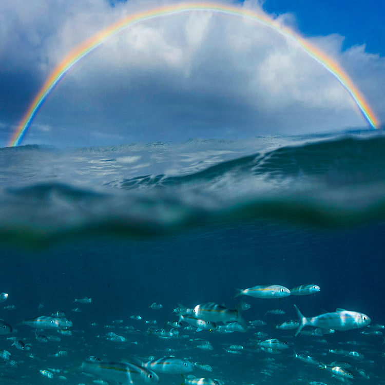 Under the Rainbow