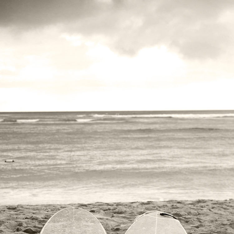 Waikiki Surfboard Sepia