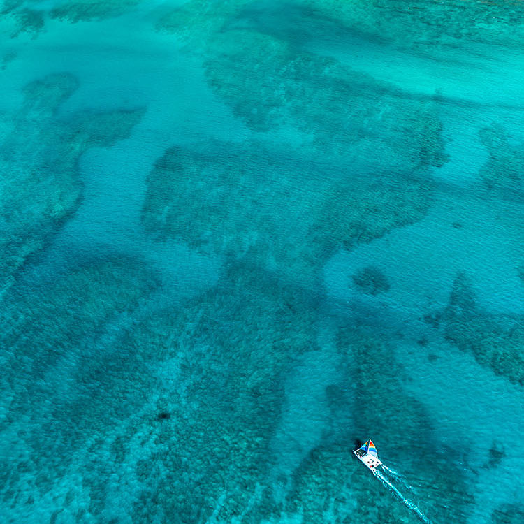 Waikiki Vertical