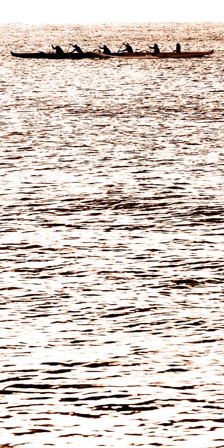 Equinox 1032 Amber